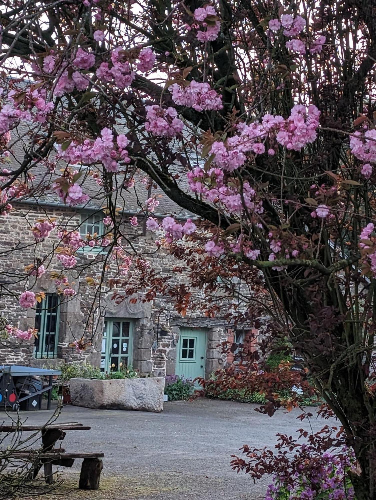 Ferme De La Gortiere Bed & Breakfast Le Teilleul Dış mekan fotoğraf