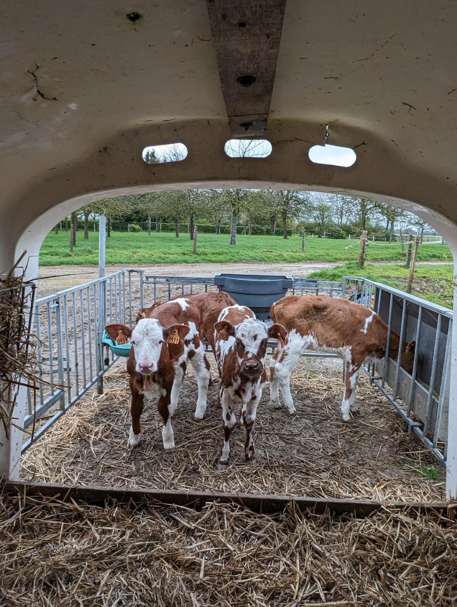 Ferme De La Gortiere Bed & Breakfast Le Teilleul Dış mekan fotoğraf