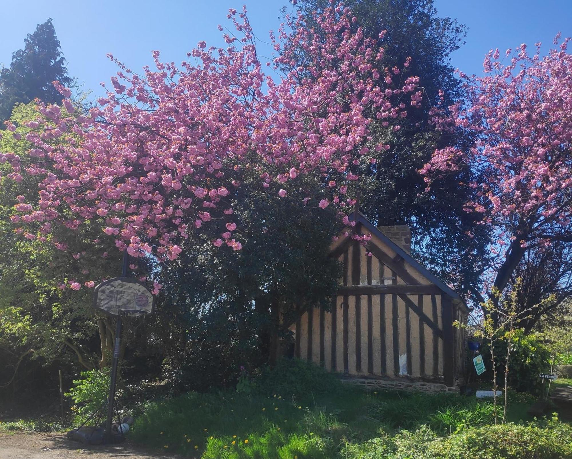 Ferme De La Gortiere Bed & Breakfast Le Teilleul Dış mekan fotoğraf